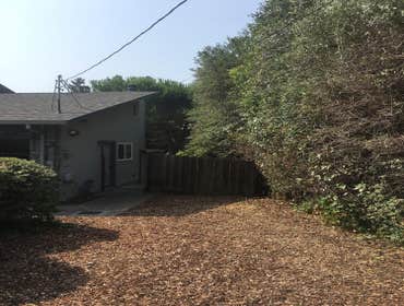 Photos by Moreno Tree Service #1