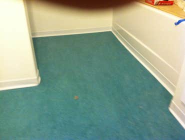 Project photos from Blackwood Floor Coverings Flooring install