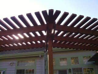 Redwood Arbor