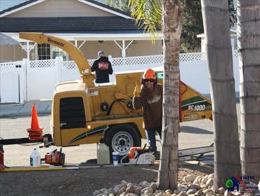 Photos by Estates Tree Service #1
