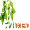 Avid Tree Care logo
