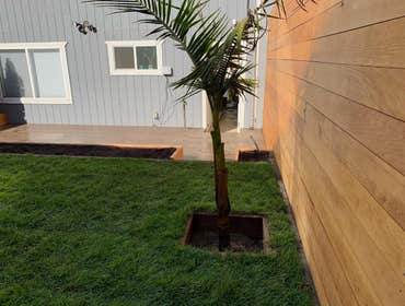 Landscaping