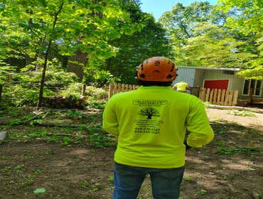 Flores Tree Services General & Landscaping