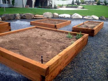 Garden Boxes