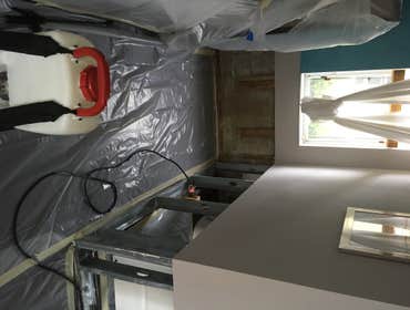 Mold Remediation