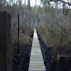 Pier Construction