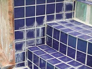 Tile Savers of Nevada Tile Savers of Nevada, LLC will remove calcium from your pool tile by "glass bead" and/or MaxxStrip blasting! Unlike other method