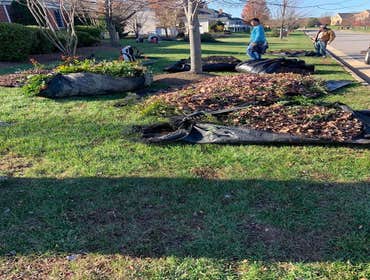 Photos by Cardinal Green Landscaping LLC #1