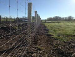 Fences