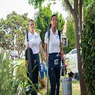 the Cleaning Authority - Olympia
