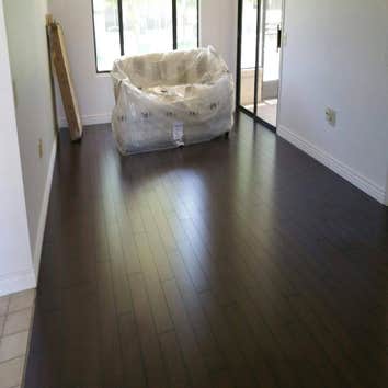 Photos