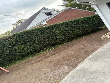 Photos by Beauty Meister Landscaping LLC #2