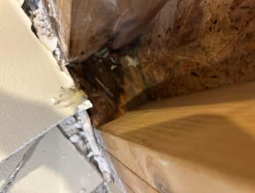 Water Mitigation This project was a roof leak the photos show initial inspection to post demo.