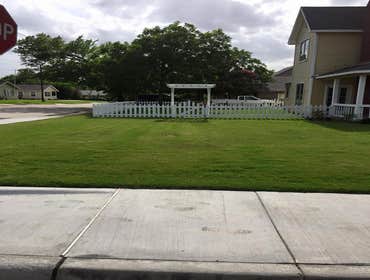 Fences