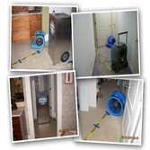 Berkeley Carpet Cleaners Project
