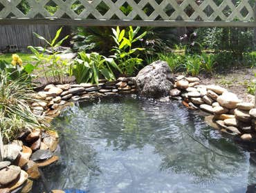Pond