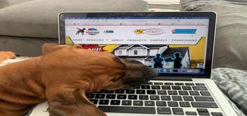 Mighty Dog Roofing of Southwest Houston