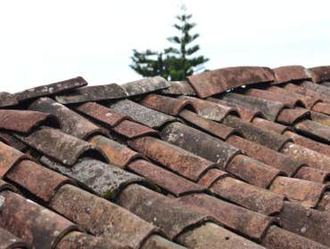 Photos by Heart of America Smoke Damage Experts #1