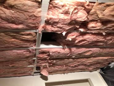 Photos by Smart Moves Restoration LLC #1
