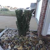 Photos by Best Cuts Lawn Care #1