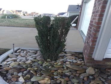 Photos by Best Cuts Lawn Care #1
