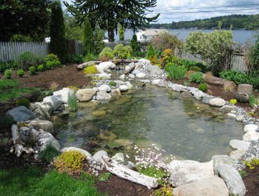 Photos by Aqualife Ponds #1