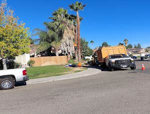 Photos by Chavezm Tree Service #5