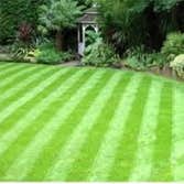 Machado's Landscape Construction We offer a variety of services from planning and design to installation and maintenance which are oriented to the nee