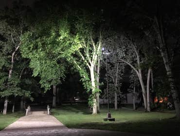 Park Lights