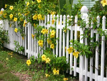 Fences