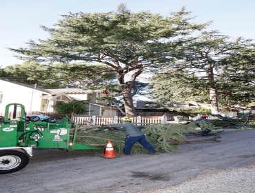 Photos by California Green Tree Care #1