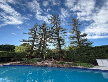 Photos by Majestic Tree Care Inc #12