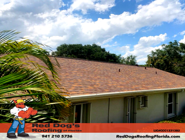Photos by Red dog's Roofing of Florida #1
