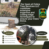 Photos by Cobra Tree Services LLC #4