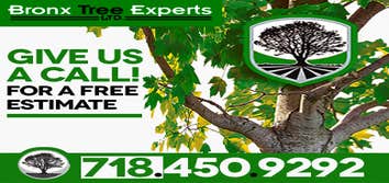Bronx Tree Pro - Tree Removal, Cutting & Trimming Service