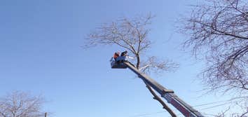 Photos by Placerville Tree Service #1