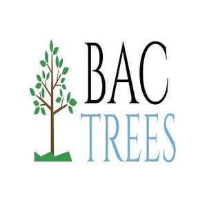 Bac Trees