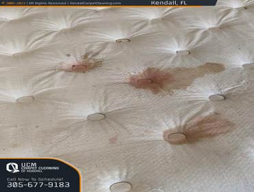 Photos by Ucm Carpet Cleaning of Kendall #1