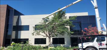 Photos by Cut Rite Tree Service Fresno #1