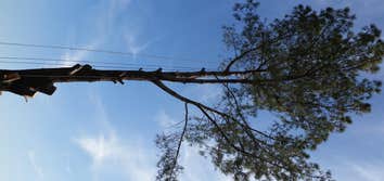 Photos from Rainforest Tree Service Inc
