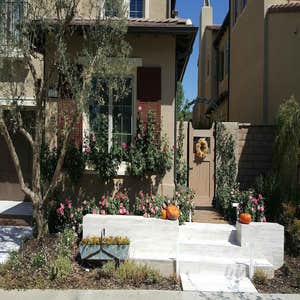 123 bridle path