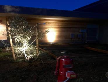 Landscaping