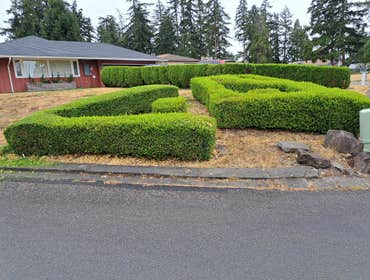 Photos by Best Northwestern Landscape Co #18