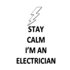 Best Indiana Electrician logo