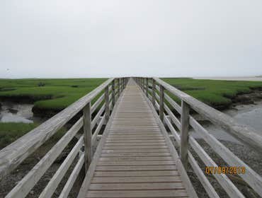 Century 21 Shoreland Property Preservation Project