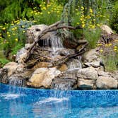 Photos by Island Aquascape Inc #1