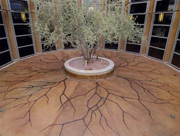 Photos by M B J Concrete Construction #1