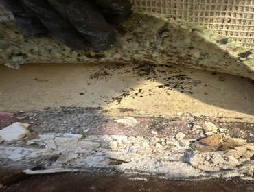 Water Mitigation This project was a roof leak the photos show initial inspection to post demo.