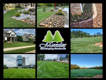 Morales Landscaping Services