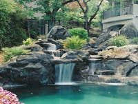 Photos from Natural Design